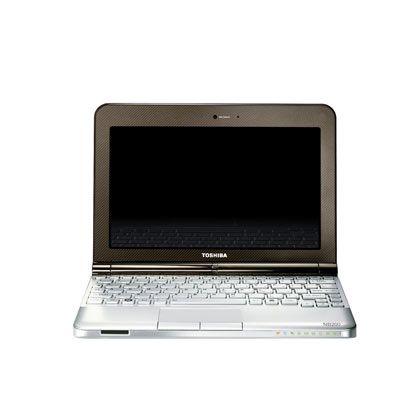 нетбук Toshiba NetBook NB200-12J