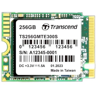 SSD диск Transcend MTE300S 256Gb TS256GMTE300S