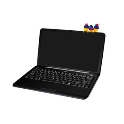 ноутбук ViewSonic ViewBook VNB-120B