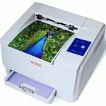 Принтер Xerox Phaser 6110B