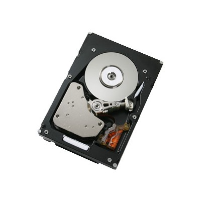 жесткий диск IBM 49Y2003